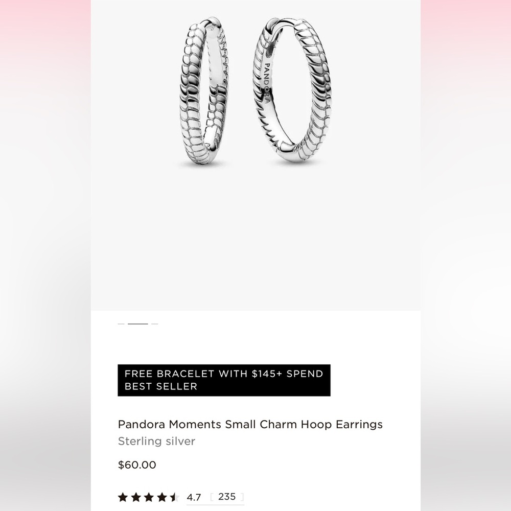 Pandora Silver Charm Hoop Earrings